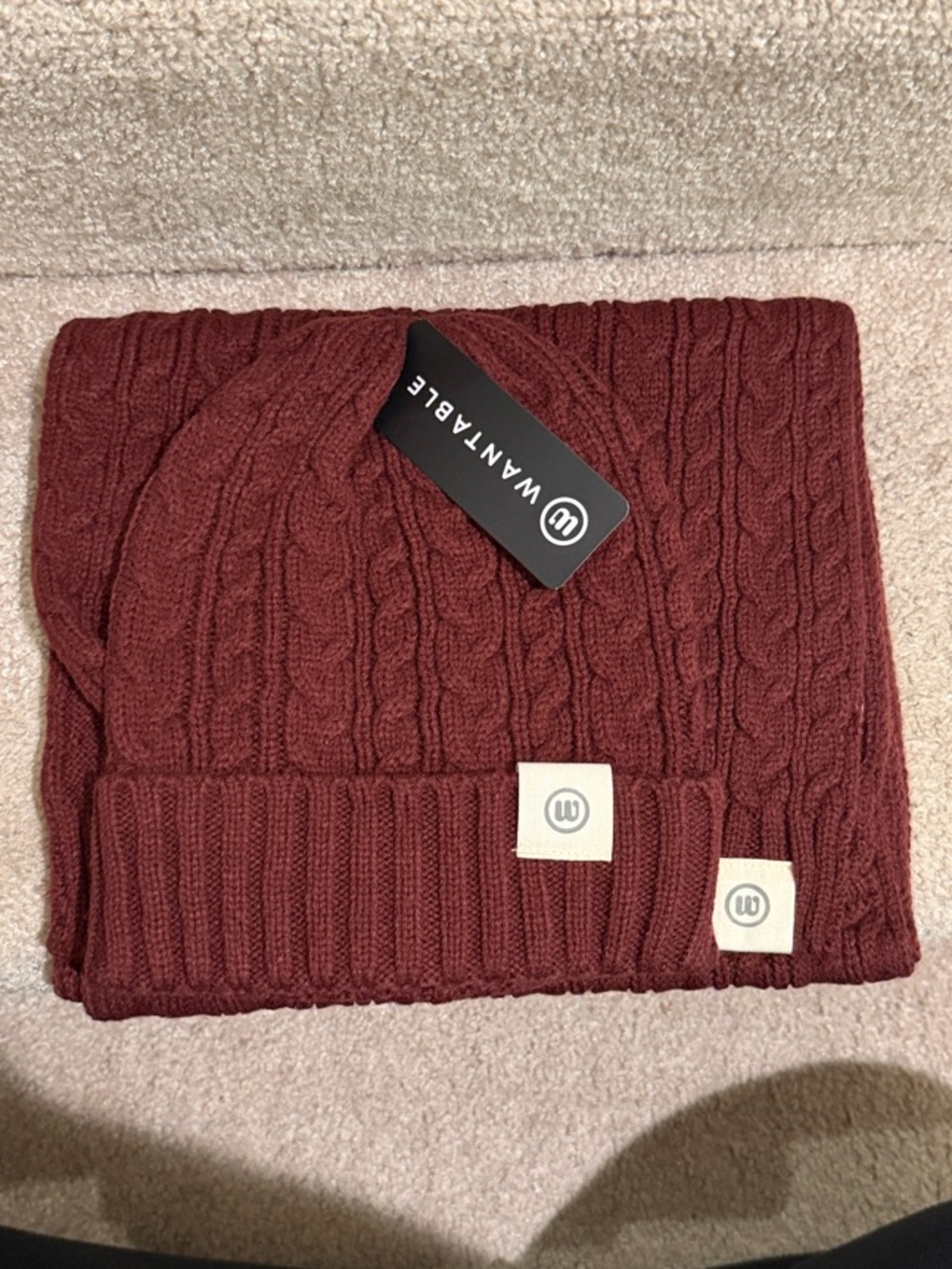 Wantable Burgundy Knit Beanie and Scarf Set